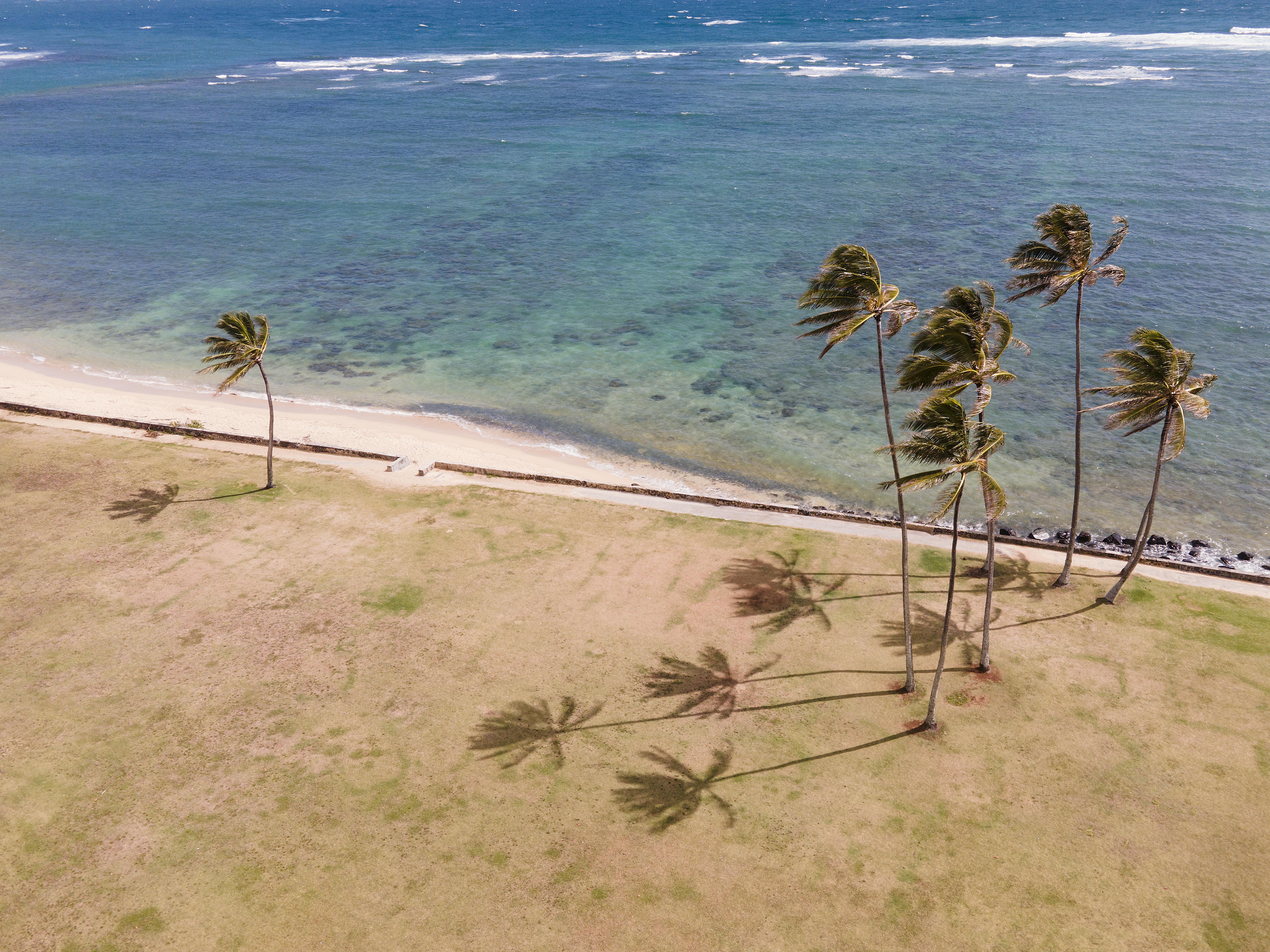 Coastal Explorer Mosmak